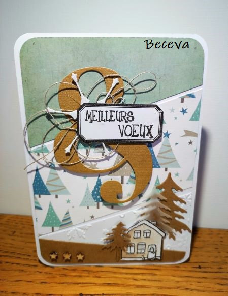 9 - Beceva