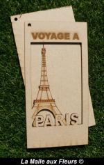 VOYAGE A PARIS