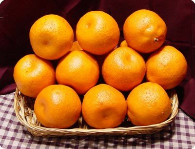 oranges1