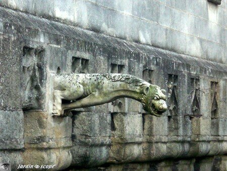 7228_Gargouille_Nantes