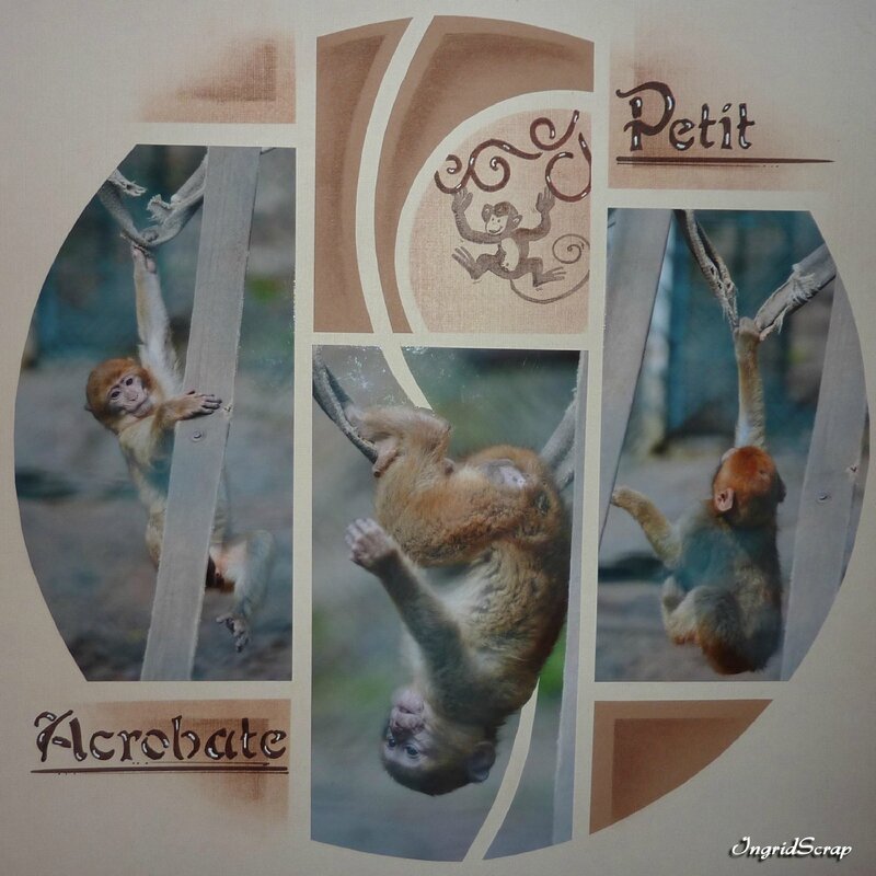 Petit Acrobate