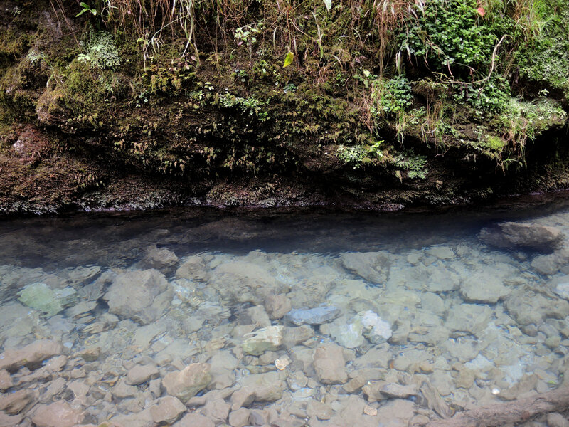 Gorges de Kakuetta, premières gorges, eau claire (64)