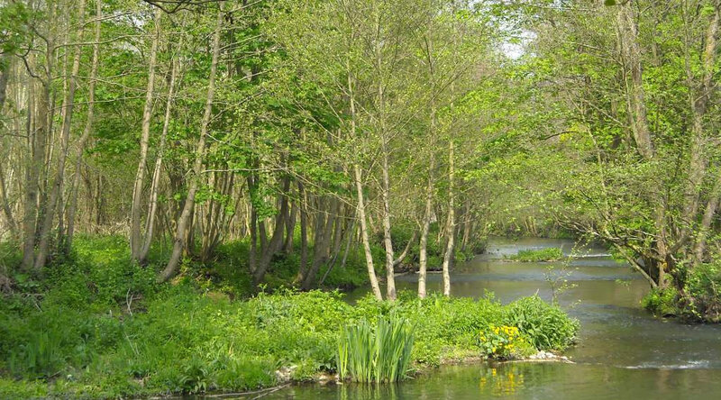 la risle