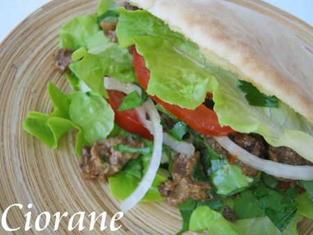 pita-boeuf-roquefort