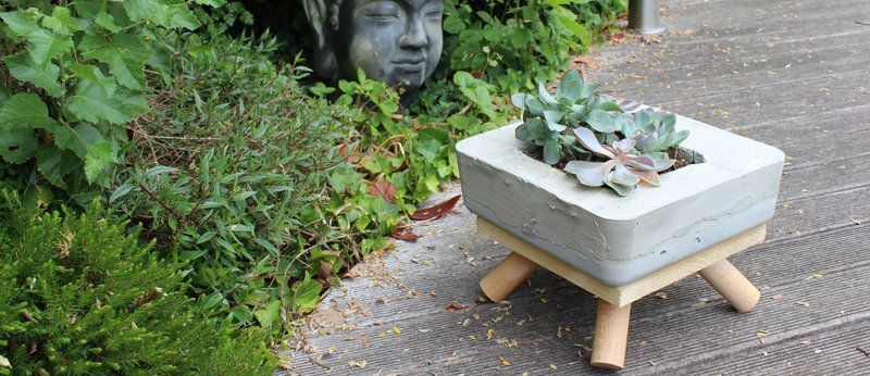 photo home - pot ciment succulentes - stephaniebricole