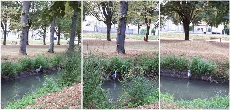 heron2