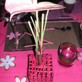 Table rose