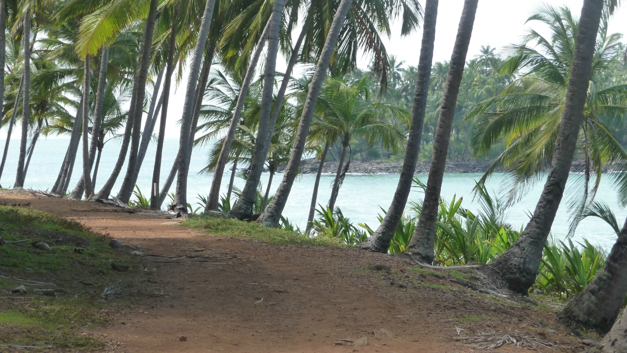 Îles du Salut