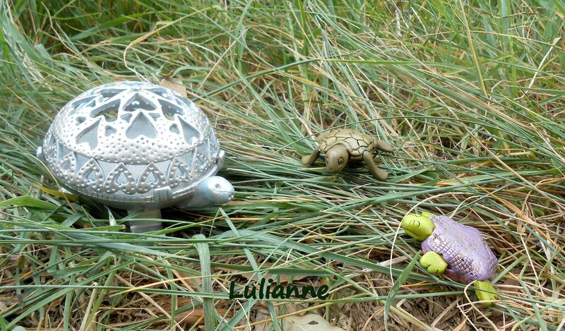 lulianne-tortue-3