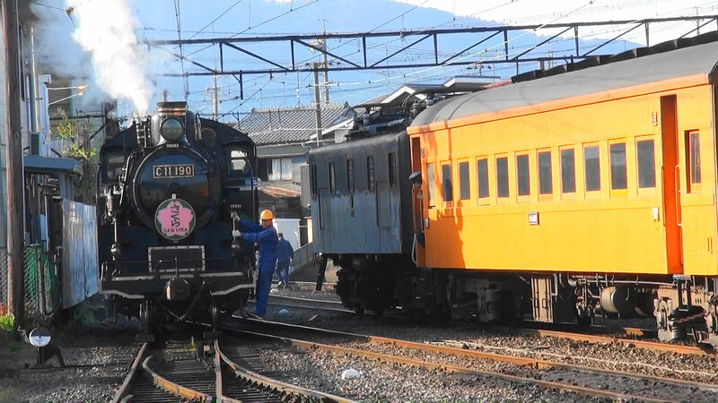 2021-JP-Oigawa-Sakura(8)