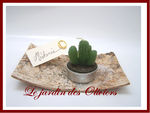 id_e_panneau_bouleau_marque_place_cactus