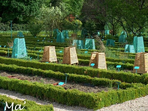 2008_avril_Bourgogne-(4)