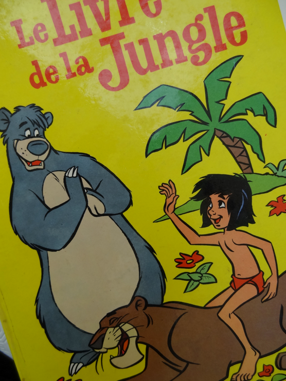 LIVRE de la JUNGLE muluBrok (1)