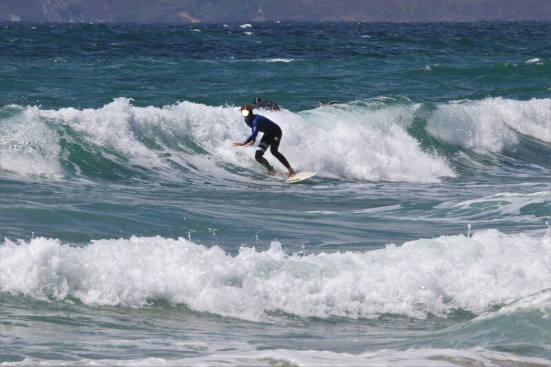 IMG_9533 - Copie
