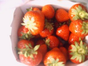 fraises_de_wepion_001