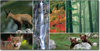 Parco Nazionale d'Abruzzo