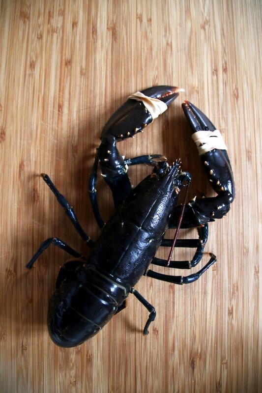 homard