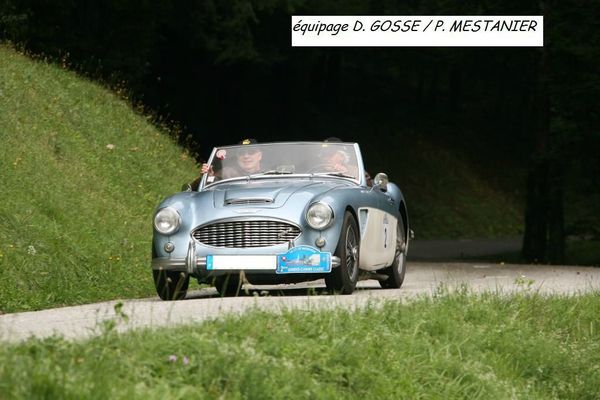 Healey - DG