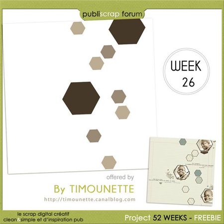 Projet 52 - Week 26 - Template 131 by Timounette