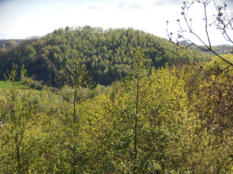 77 Terril du 6 - Hornu-Wasmes - panorama