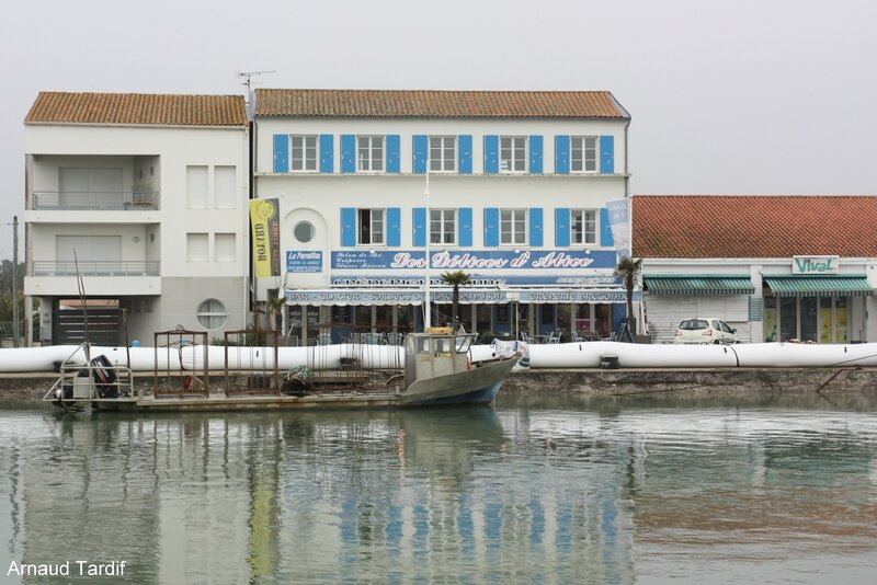 0044 Oléron - Port de Boyardville - Les Grandes Marées blog