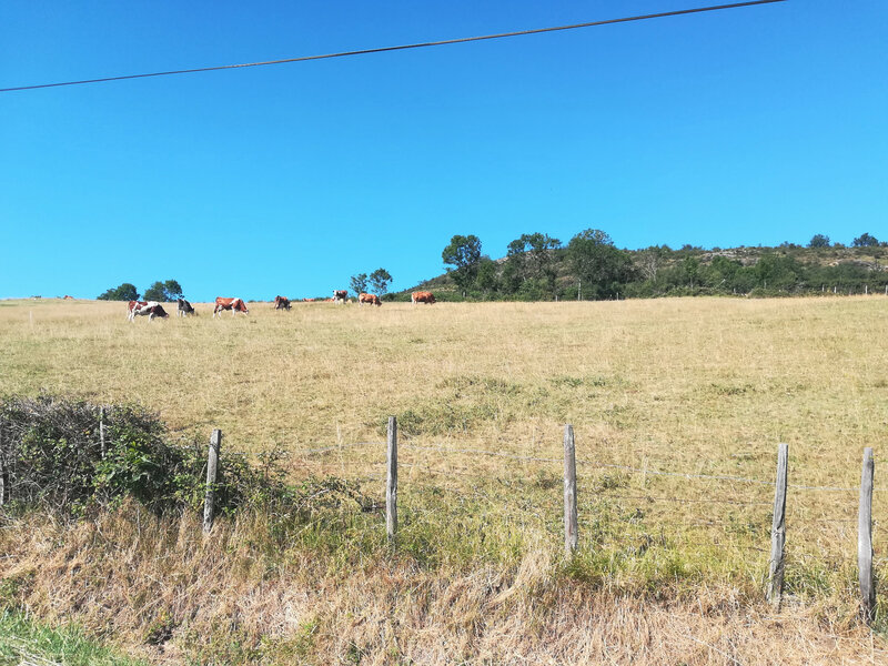 sur la route (3), 14 juillet 2019