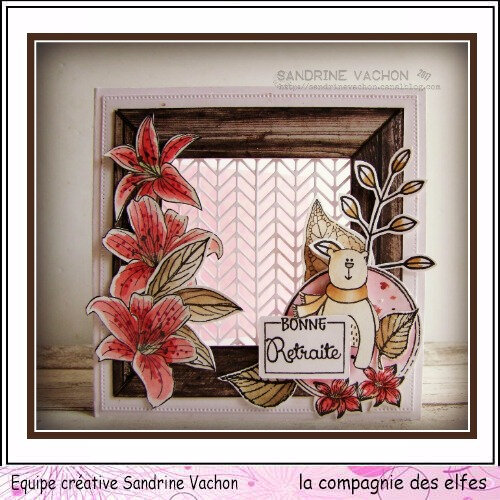 Sandrine VACHON 13 oct bonne retraite LCDE (1)