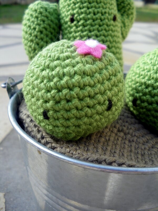Cactus crochet (5)