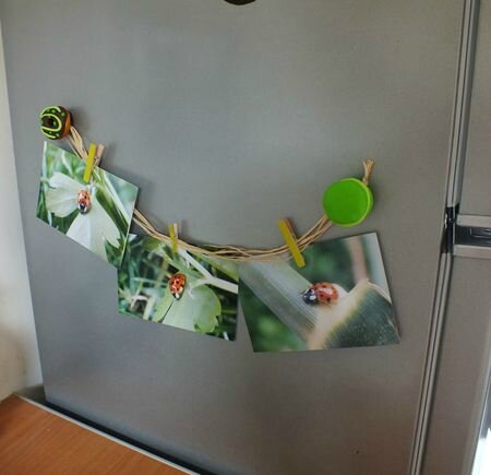 magnet photo