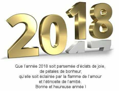 bonne année 2018