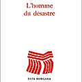 L'HOMME DU DÉSASTRE - <b>Christian</b> <b>BOBIN</b> une chronique de Lionel Bottero Clément