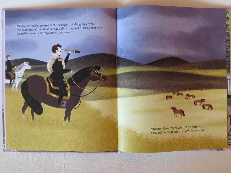L'histoire vraie de Pamir le cheval de Przewalski