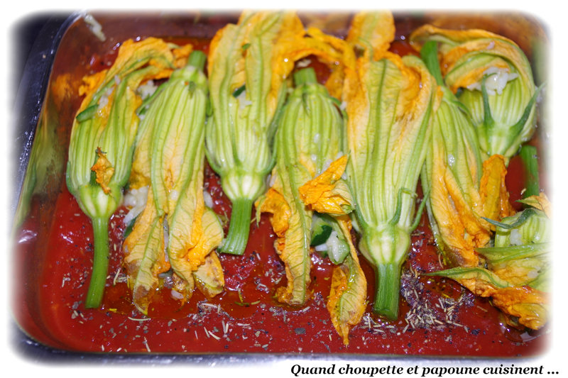 fleurs de courgettes farcies-181