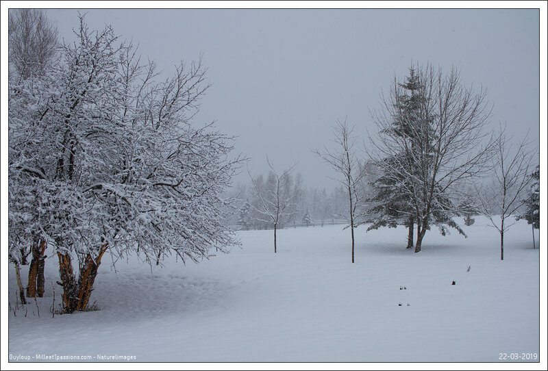 IMG_3669-1
