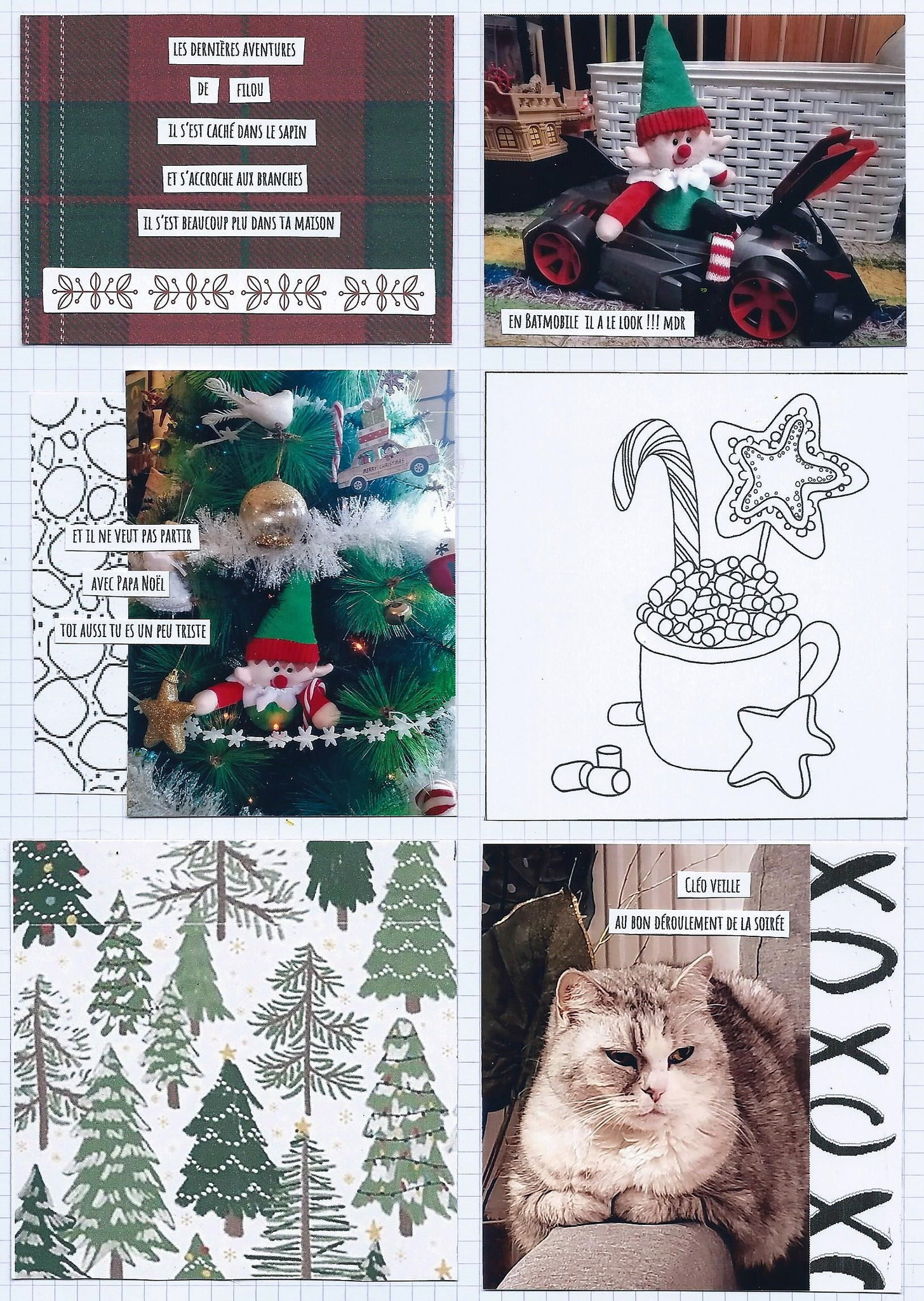 PL dec 17A