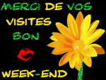 merci_de_vos_visitesbon__week_end