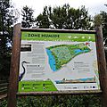 La Zone humide du Lac d'Aydat