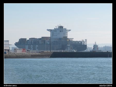 MSC_LUCY_4