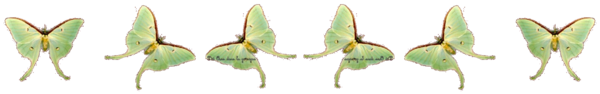 Papillons_vert