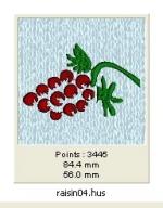 raisin04