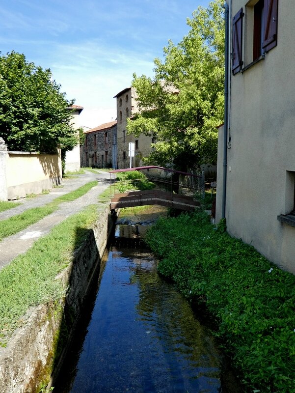 P1030574