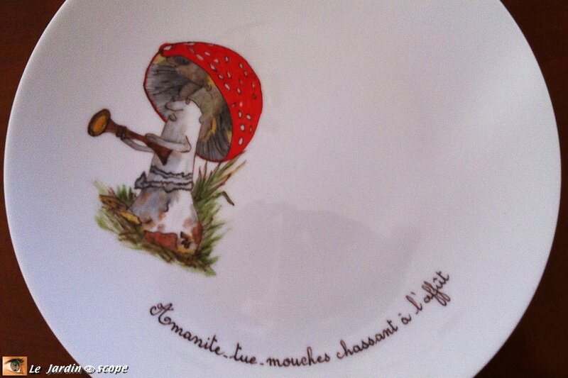 Amanite-tue-mouche