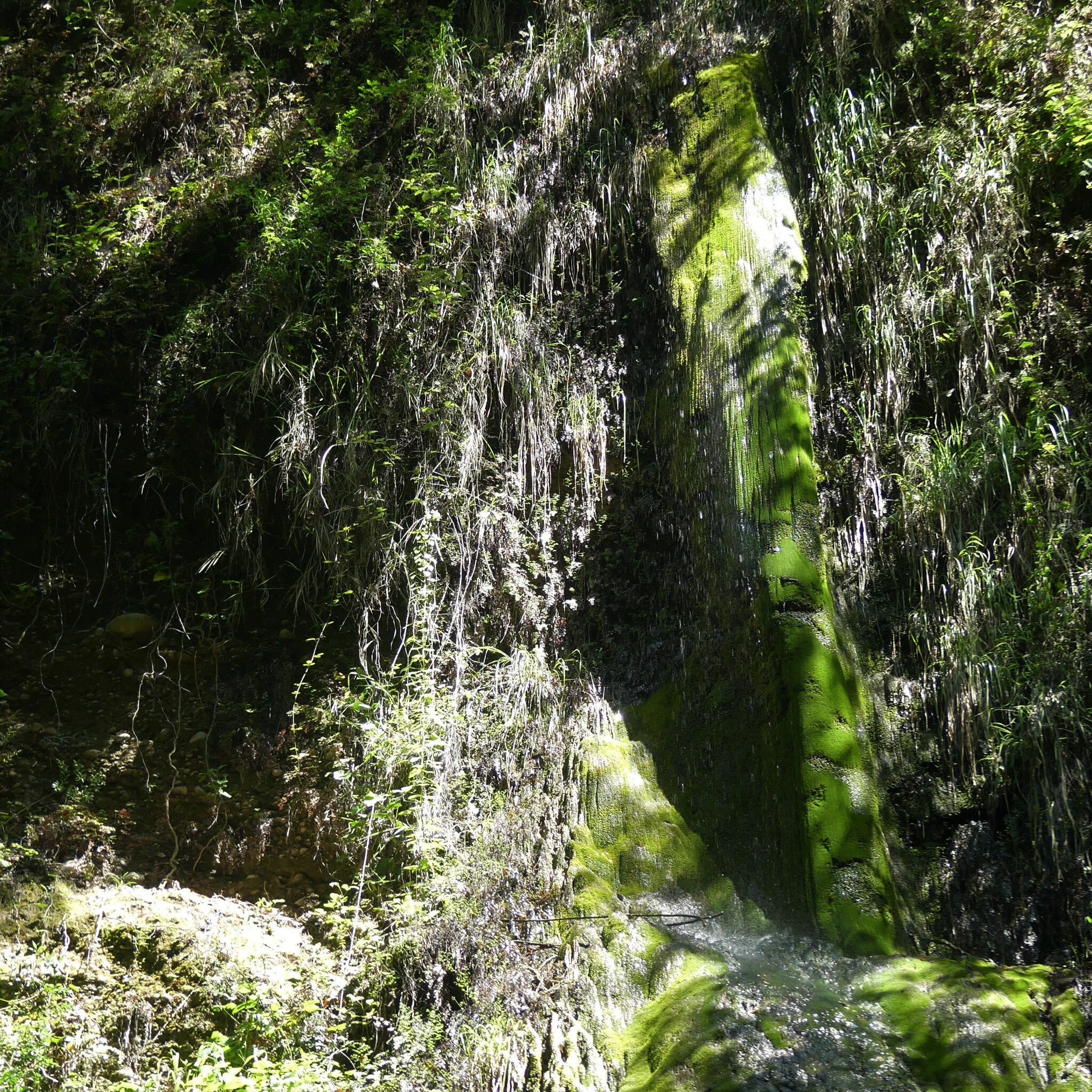 P1120742 (2)