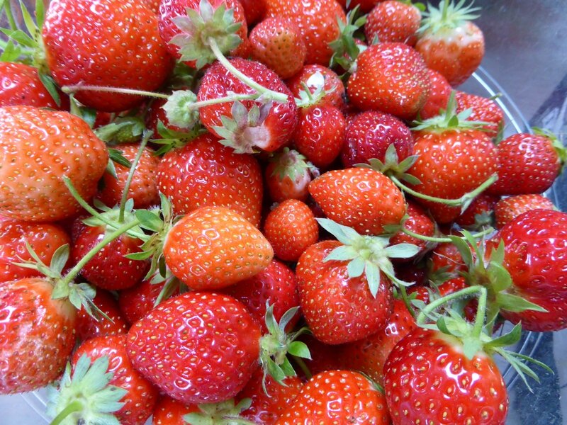 25-fraises
