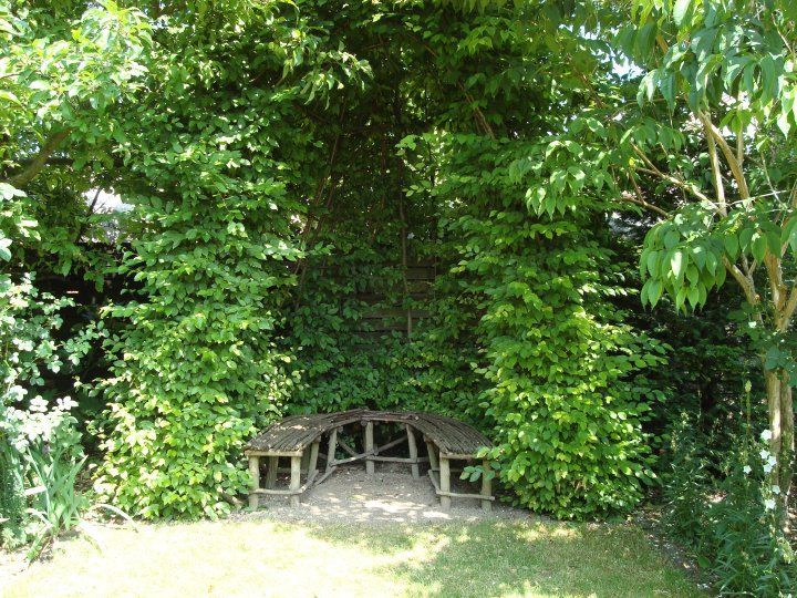 Niche végétale vivante, le jardin de Margueritte à Plobsheim (67