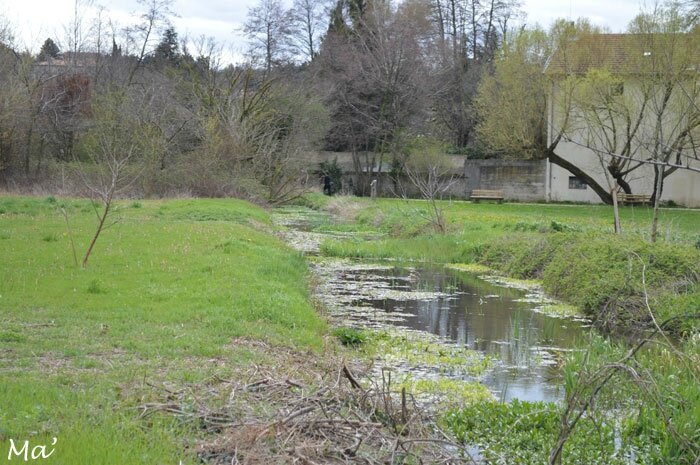 150329_canaux_chateauvert2
