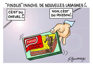 FINDUS web