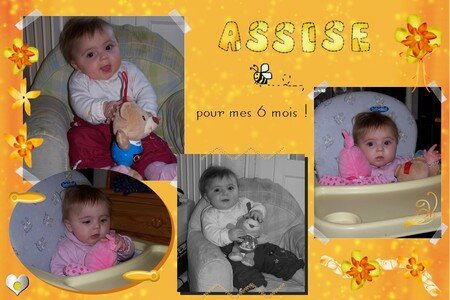 assise