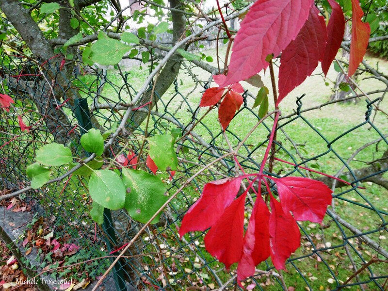 Balade dans Léon 181018