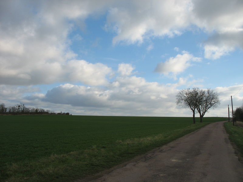 Route de campagne de Nièvre (58)